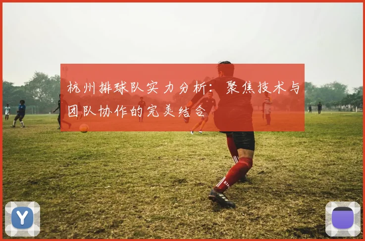 杭州排球队实力分析：聚焦技术与团队协作的完美结合