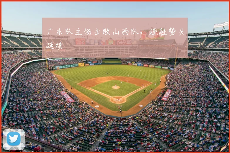 广东队主场击败山西队，连胜势头延续